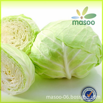 Wholesale Chinese Fresh cabbage in bulk, fresh vegetables, hot sale cabbage in 2014